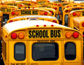 School Bus 1