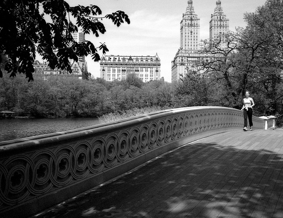 Bow Bridge Jogger